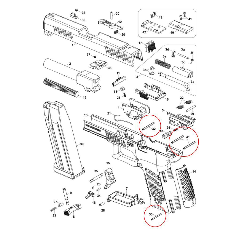 CZ P-10 jeu de goupilles